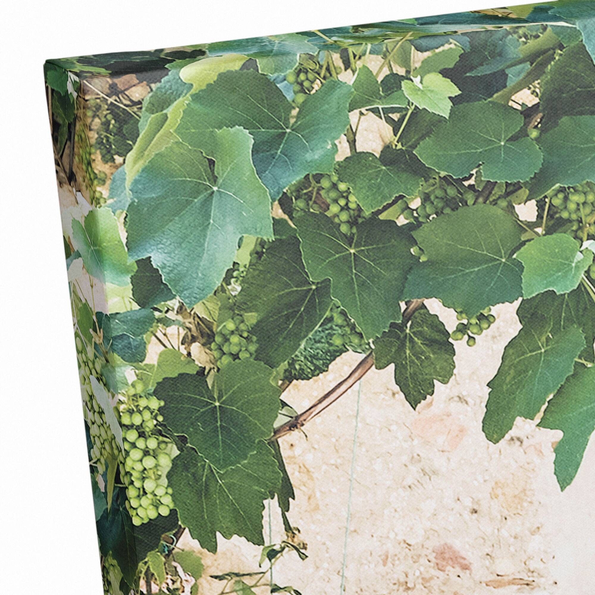 Wooden Door Hydrangeas 20" x 30" Canvas Wall Art